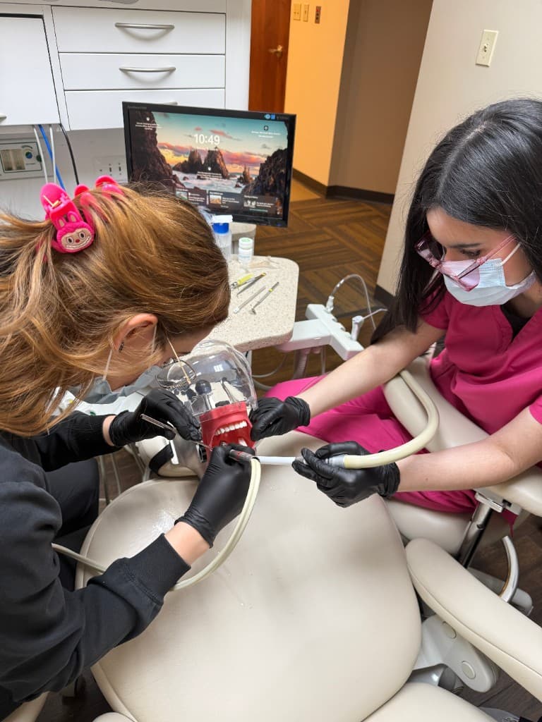 Hands-on training with dental mannequin